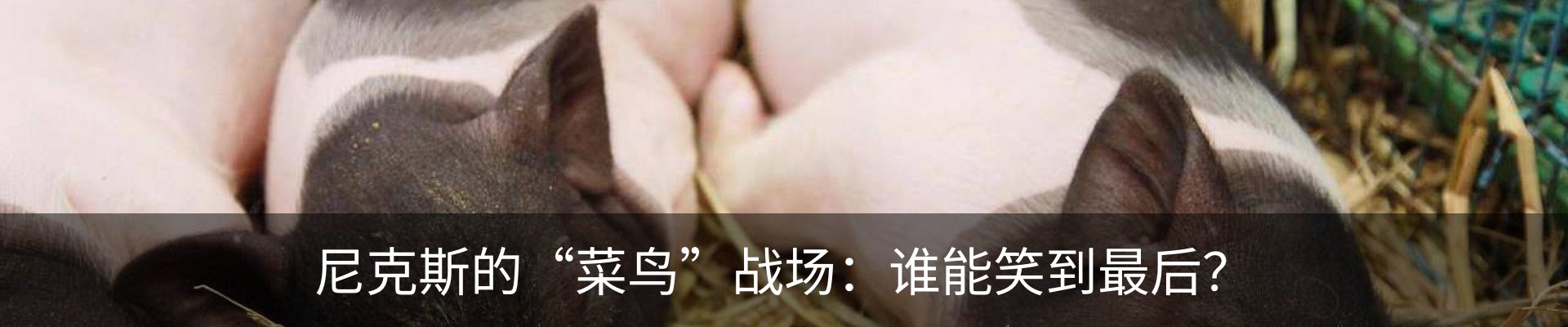 行业资讯
